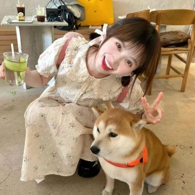 悲欢故事
